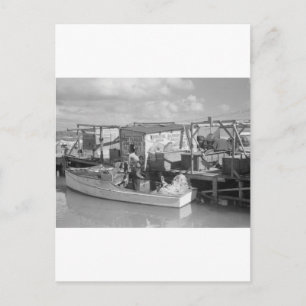 Carte Postale Florida Keys Fishing, 1938