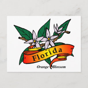 Carte Postale Florida Orange Blossom
