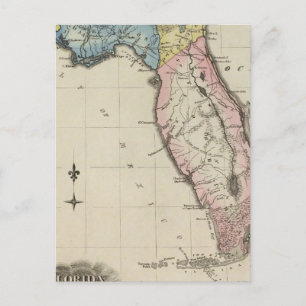 Carte Postale Floride 11