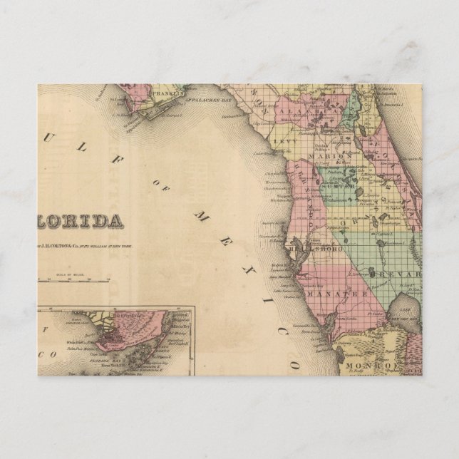 Carte Postale Floride 6 (Devant)