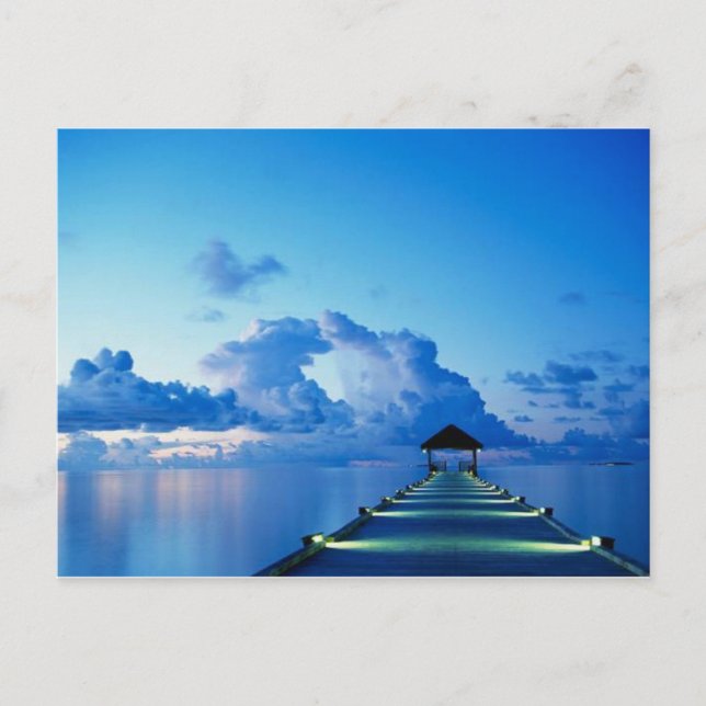 CARTE POSTALE FLORIDE DE LA PLAGE DE CACAO (Devant)