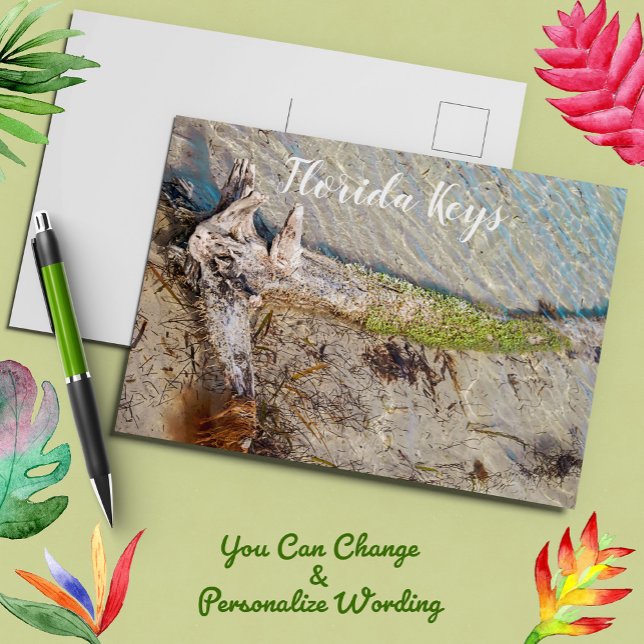 Carte Postale Floride Keys Bahia Honda Driftwood Shore (Créateur téléchargé)