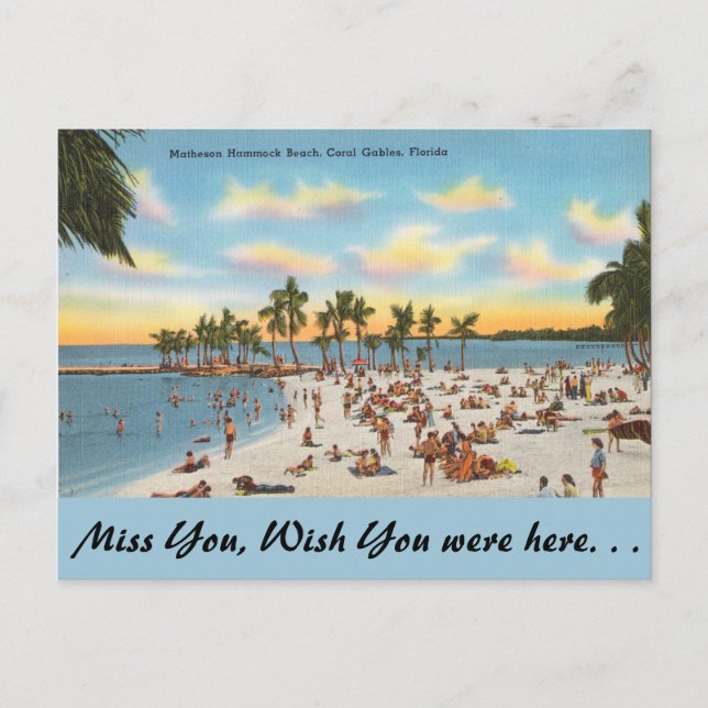 Carte Postale Floride, Matheson Hammock, Coral Gables (Devant)