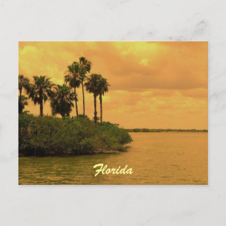 Carte Postale Floride Palm Tree Reverie