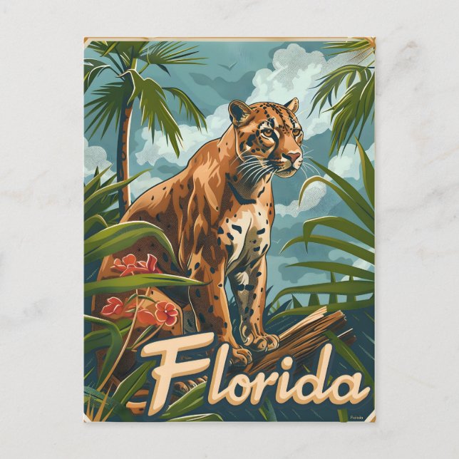 Carte Postale Floride Panther (Devant)