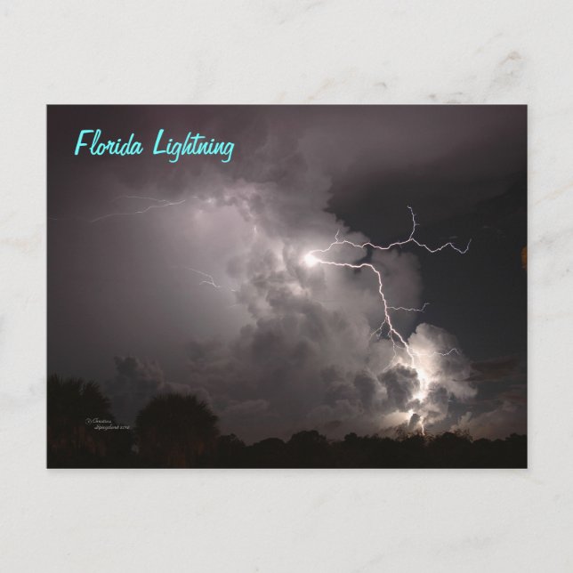 Carte postale Floride Storm Lightning (Devant)