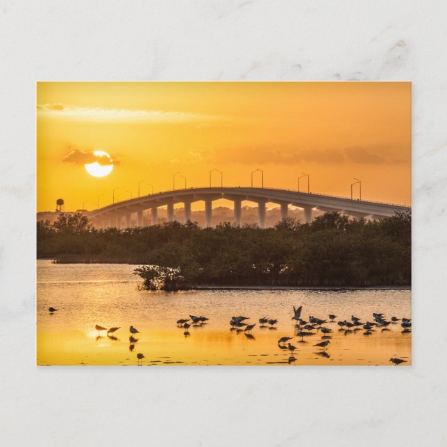 Carte Postale Floride Sunset Travel Photographie - Titusville (Devant)