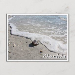 Carte Postale Floride vacances d'été coquillage sur la plage