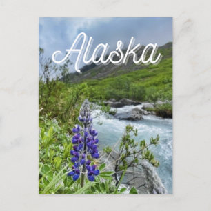 Carte postale Flower de l'Alaska