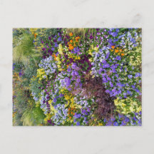 Flower Power