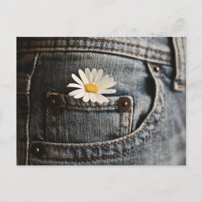 Carte Postale Flowers | Daisy in Jeans Pocket (Devant)