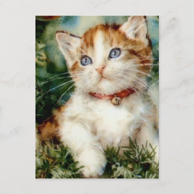 Carte Postale Fluffy christmas cat Watercolor (Devant)