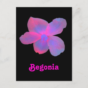 Carte Postale Fluorescent Begonia personnalisable