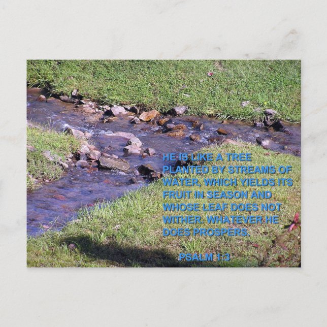 CARTE POSTALE FLUX (Devant)