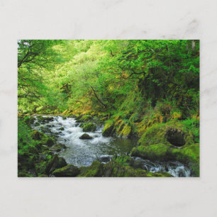 Carte Postale Flux au printemps