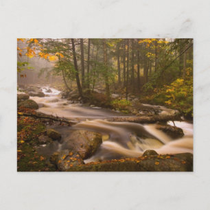 Carte Postale Flux Flux Sentier Appalachien Vermont