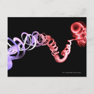Carte Postale Foetus avec un cordon ombilical fait de brins d'AD