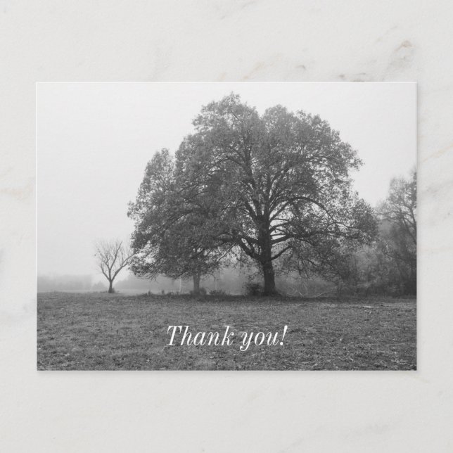 Carte Postale Foggy Automne Niveaux de gris (Devant)