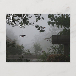 Carte Postale Foggy Jardin d'automne avec Spider DO-IT-YOURSELF