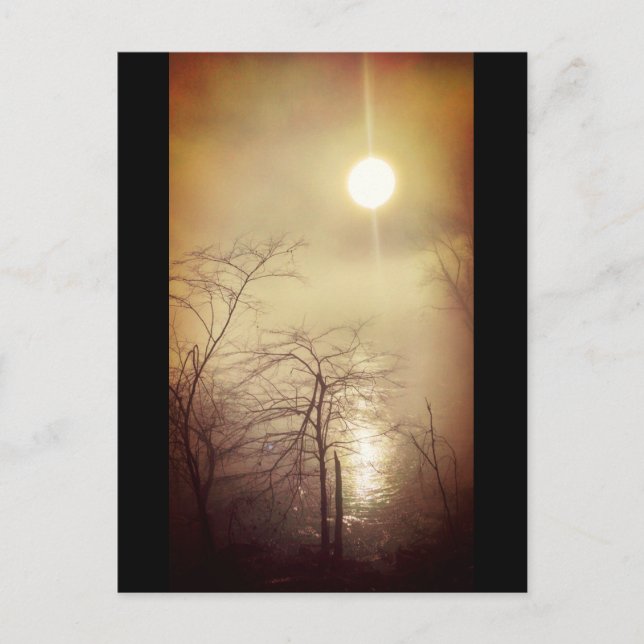 Carte Postale Foggy Morning (Devant)