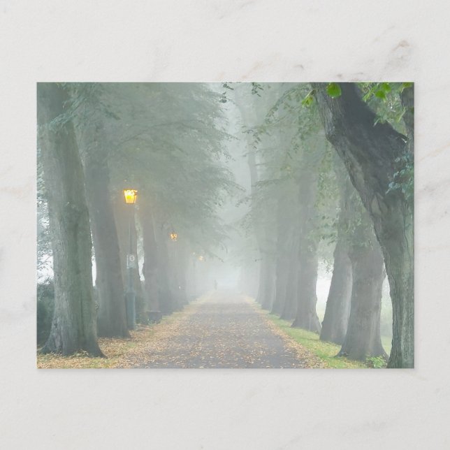 Carte Postale Foggy Morning (Devant)