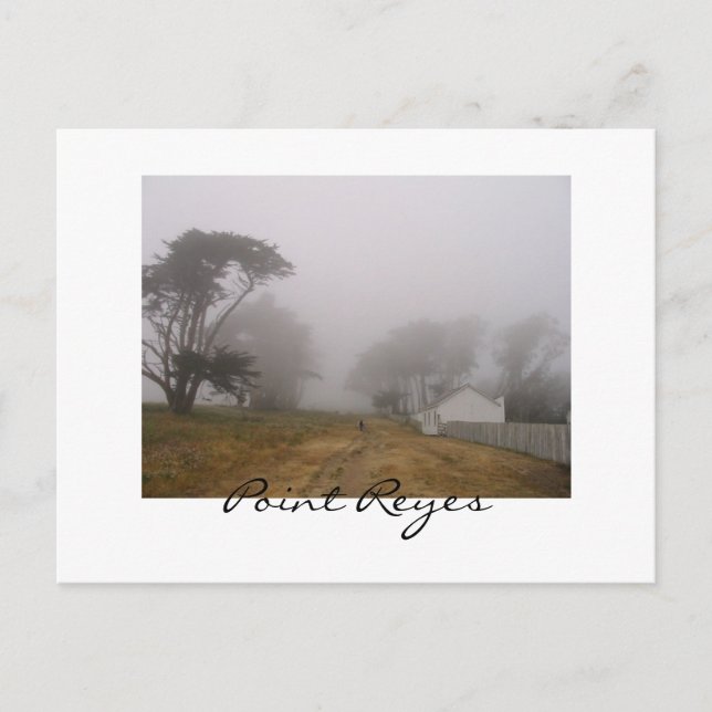 Carte postale Foggy Point Reyes (Devant)