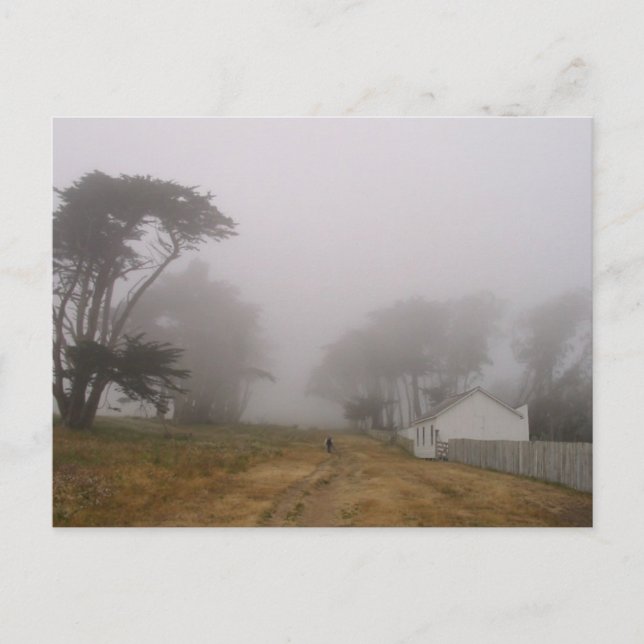 Carte postale Foggy Point Reyes (Devant)
