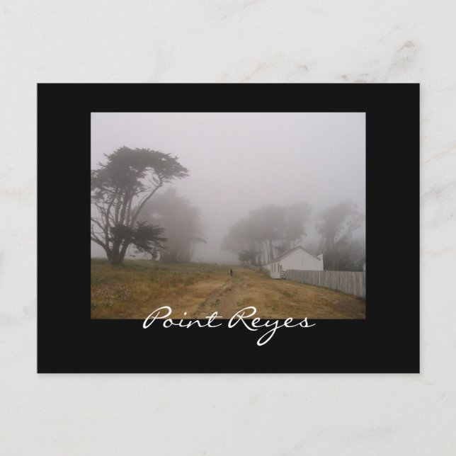 Carte postale Foggy Point Reyes (Devant)