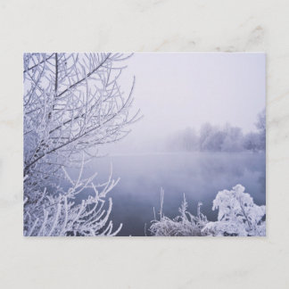 Carte Postale Foggy Winter Day by the River