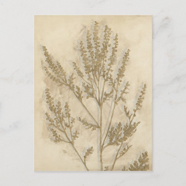 Carte Postale Foliage doré II (Devant)