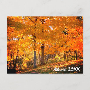 Carte Postale Folithe d'automne