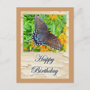 Carte Postale Foncé Phase Tigre Swallowtail Butterfly Anniversai