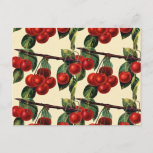 Carte Postale Fond d'écran Antique Rouge Cerise Fruit Design