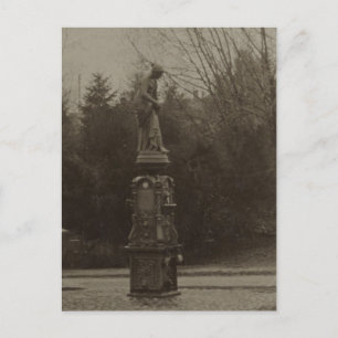 Carte Postale Fontaine à boire à Wright Park