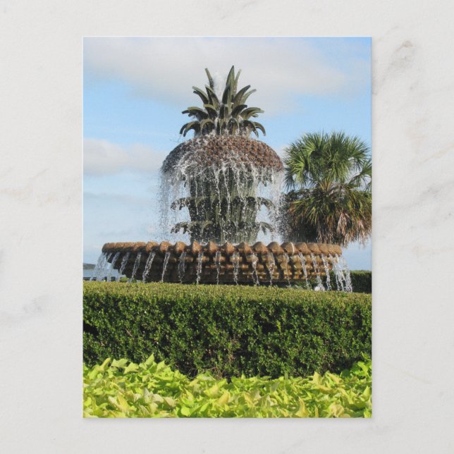 Carte postale Fontaine d'ananas Charleston SC (Devant)