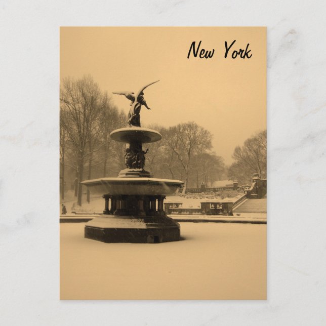 Carte Postale Fontaine de Bethesda en hiver (Devant)