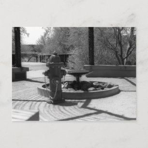 Carte Postale Fontaine d'eau VS Firehydrater