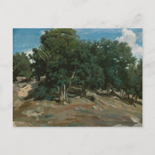 Carte Postale Fontainebleau