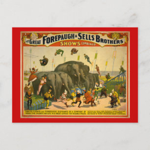 Carte Postale Forepaugh & Sells Brothers Elephants Poster Circus