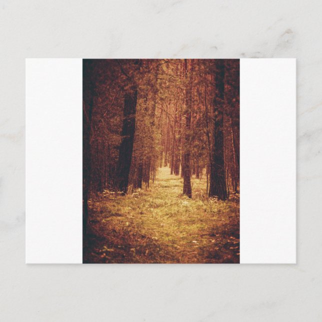 Carte Postale Forest Path... (Devant)