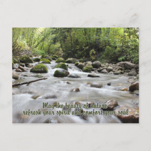 Carte postale Forest Stream
