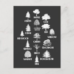 Carte Postale Forestier extérieur Bois Lover Arbre Nature Éducat