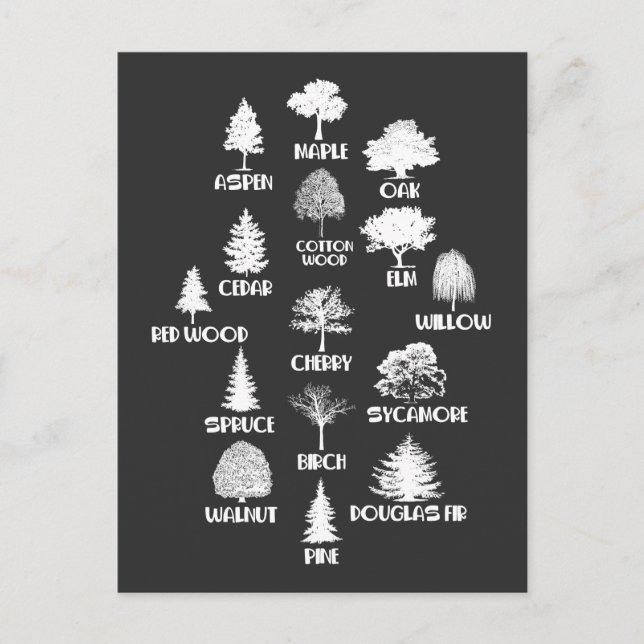 Carte Postale Forestier extérieur Bois Lover Arbre Nature Éducat (Devant)