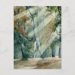 Carte Postale forêt