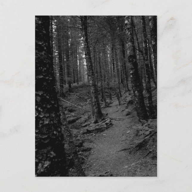 Carte Postale Forêt (Devant)