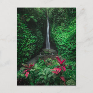 Carte Postale Forêt   Cascades Leke Leke Waterfalls à Bali