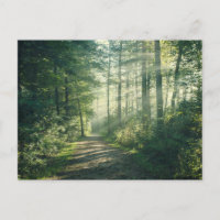 Forêt | Chemin forestier Hambourg Allemagne
