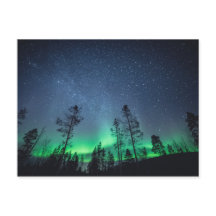 Forêt d'Aurora