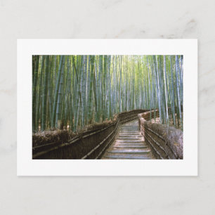 Carte Postale Forêt de bambou de Sagano, Kyoto 