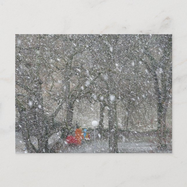 Carte Postale Forêt de Blizzard (Devant)